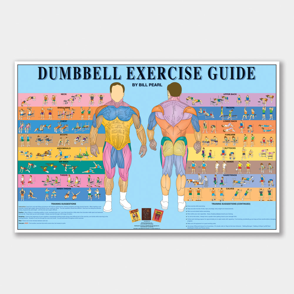 Dumbbell Exercise Guide